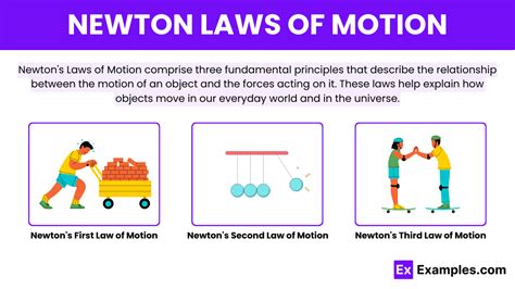 what is a newton 1 point.